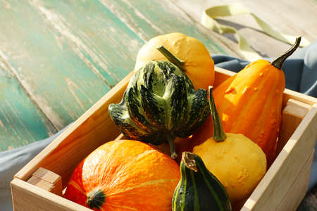harvest decorative pumpkins in a wooden box.