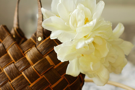 delicate flowers light yellow tulips in a bag made of natural materials