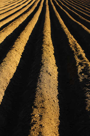 a plowed field. Creating a furrow in an arable field, preparing for planting crops in the spring.