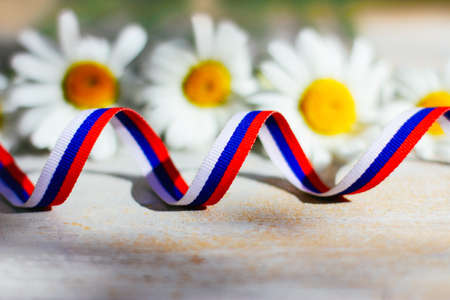 The concept of the Day of Russia. The ribbon is painted in the colors of the Russian flag and a daisy on a wooden background.の写真素材