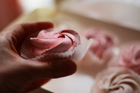 homemade marshmallows. berry and vanilla sweet dessert.の写真素材
