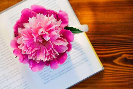there is a mug with a peony on the book. summer mood, lifestyle.の写真素材
