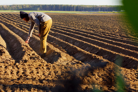 a plowed field. Creating a furrow in an arable field, preparing for planting crops in the springの写真素材