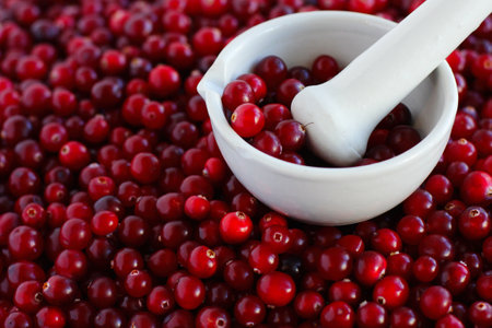 Cranberry texture close-up. autumn berry picking