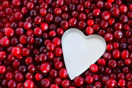 background of ripe cranberries in the shape of a metal heart. Cranberry texture close-up. autumn berry pickingの写真素材