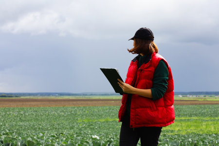 The farmer controls the quality of the cabbage crop. Female agronomist in agriculture.