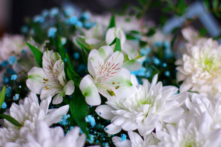 bouquet of different flowers, the concept of congratulations on the holiday.の写真素材