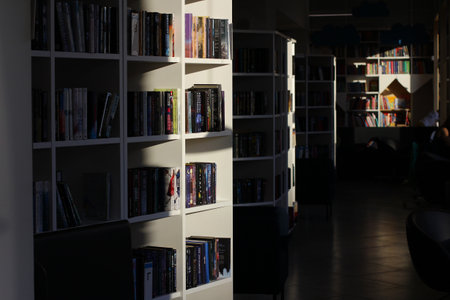 library, a large selection of books, reading while standing.の写真素材