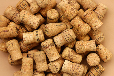 wine corks. Background of various wine corks. close up.の写真素材