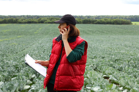 The farmer controls the quality of the cabbage crop. Female agronomist in agriculture