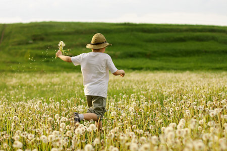 A child runs through a field with dandelions. Summer moodの写真素材
