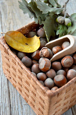 Hazelnuts in a basket with autumn leaves and acorns の写真素材