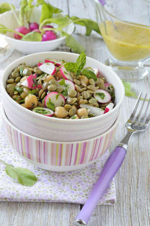 Green lentil and chickpea salad with radish and herbs  Close-up の写真素材