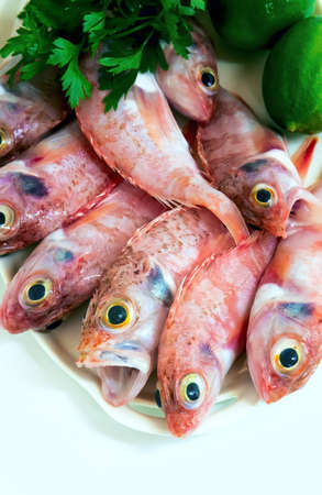 Raw Red Fishの写真素材