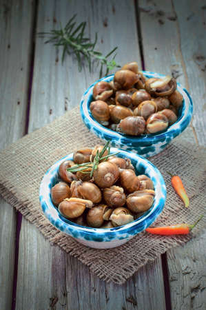 Snails food. Tasty cooked snails (escargot), exotic recipes. Tasty cooked snails (escargot) in two blue dishes on a wooden background, exotic recipesの写真素材