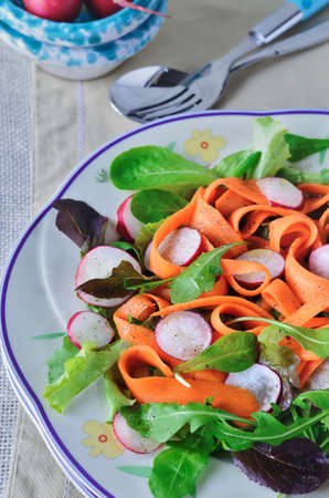 Spring vegetable salad with carrot and radishesの写真素材