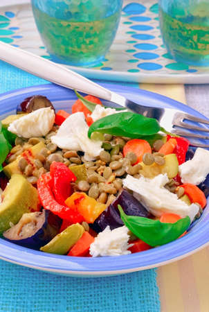 Grilled eggplant salad with lentils and mozzarella, light summer saladsの写真素材