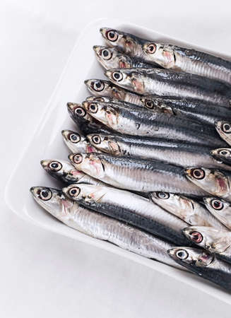 Fresh Raw Anchovies, Stock Photoの写真素材