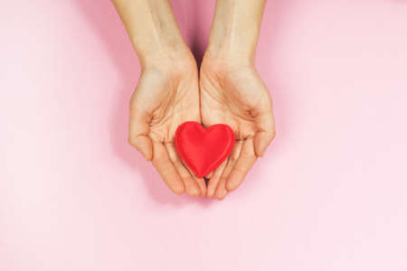 Female hands gently holding the heart. Pink background. Concept of love, care, affection, the St....