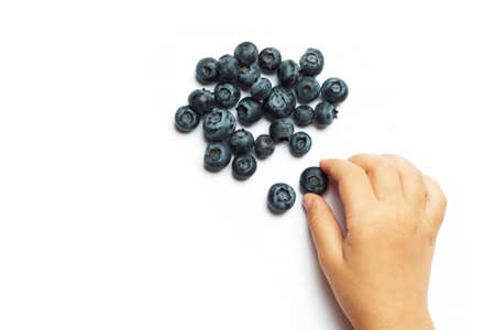 Blueberries in the children's hands isolated on white background. The concept of summer berry crops, organic food, vitaminsの写真素材