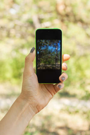 Female hand holding a phone and photographing nature. The concept of social networks, the use of gadgets in nature, technology, etc.の写真素材