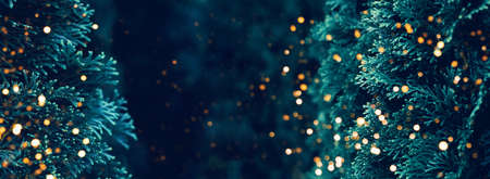 Web-banner with coniferous branch and a nice place for text. Blue color. Theme of nature, the advent...