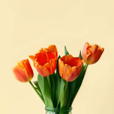 Bouquet of tulips in orange and rich red colors on yellow background. Concept of spring, Womens Day, Mothers Day, 8 March, the holiday greetings.の写真素材