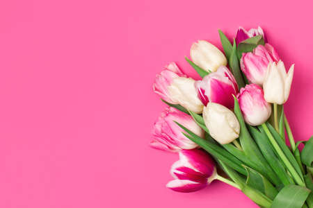 Bouquet of tulips in pink and white colors. Copy space, flat layの写真素材