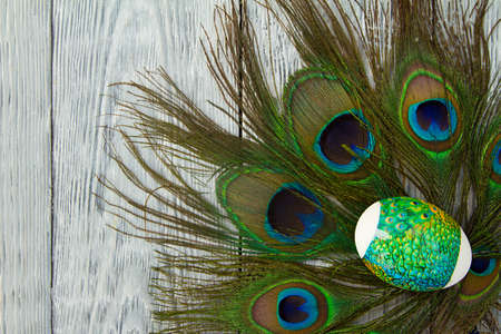 painted Easter egg on peacock feathersの写真素材