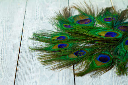 A peacock feather on wooden grey backgroundの写真素材