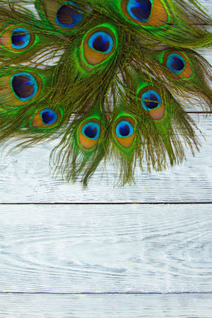 A peacock feather on wooden grey background,top view.の写真素材