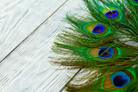A peacock feather on wooden grey backgroundの写真素材