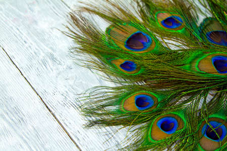 A peacock feather on wooden grey backgroundの写真素材