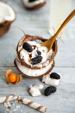 Melting ice cream in coconut shell, decorated with mulberry and physalis berriesの写真素材