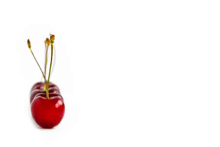 ripe red cherries are lined up, one after the other. One cherry in focus on white backgroundの写真素材