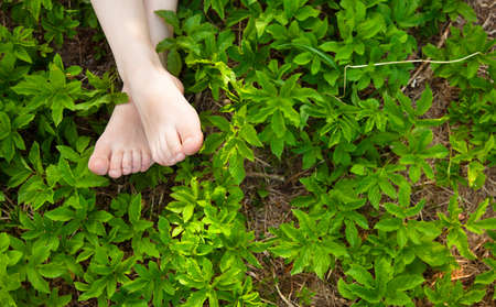 Young adult feet standing on the green grass in a park,forestの写真素材