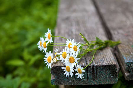bouquet of chamomile flowers on an old wooden bench.Rural still life