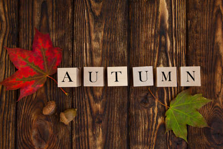 wooden cubes with Autumn inscription on a wooden dark background with colorful maple leaves and acorn. Concept Autumnの写真素材