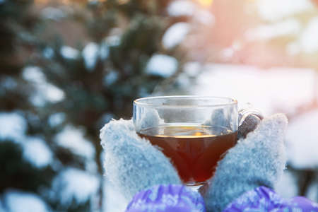 mittened hands holding a glass mug of hot tea in the winter forestの写真素材