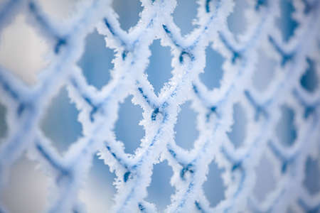 Frozen fence made of metal mesh covered with snowy hoarfrost, winter day. Winter snow texture. Close up.の写真素材