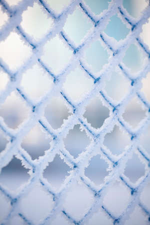 Frozen fence made of metal mesh covered with snowy hoarfrost, winter day. Winter snow texture.
