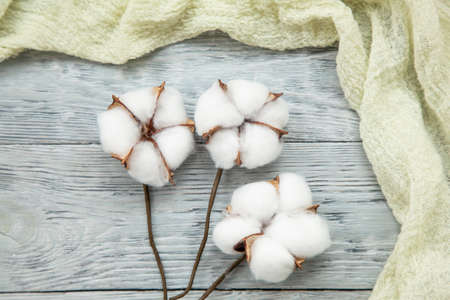 Bouquet of cotton plants on a gray wooden background