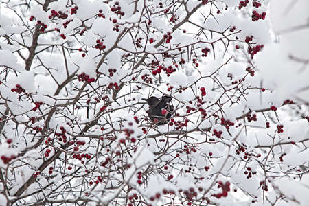 The summer country club is surrounded by a stylish wooden fence.Focus on the fence in the sunlight.の写真素材
