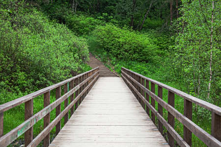 Wooden long bridge to the forest in perspective. Summer forest or park for walk. Eco bridge for walk.の写真素材