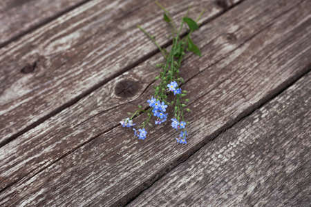 Bouquet of wild little blue flowers on a wooden old background. Top view with a copy of the space. Summer still lifeの写真素材