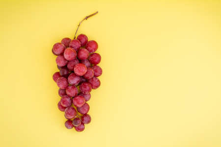 Branch of large ripe red grapes on a yellow background, top view.の写真素材