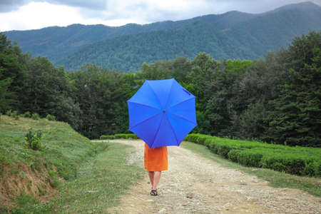 Woman with a blue umbrella stands with her back to the sandy road leading to the mountains through the forest. Landscape before the rain.の写真素材