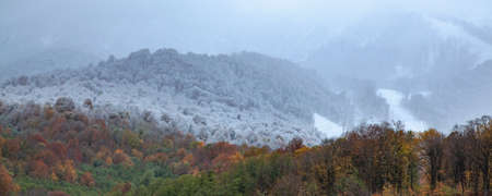 A snow-covered autumn mottled forest on the top of a mountain in the fog.の写真素材