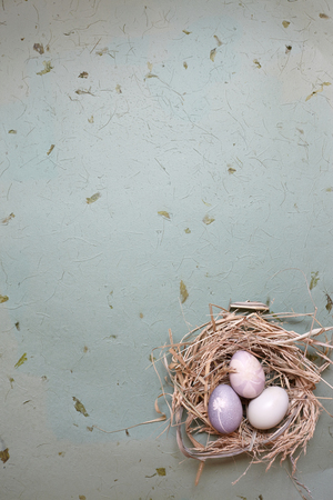 Easter colored chicken eggs in a birds nest. Easter conceptの写真素材