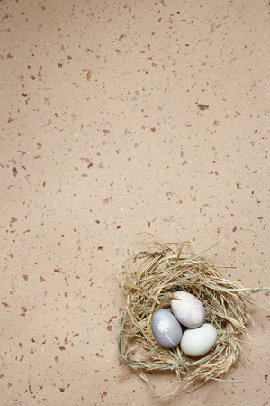 Easter colored chicken eggs in a birds nest. Easter conceptの写真素材